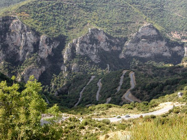 Deep green waters of the Lousios Gorge with steep rocky walls in the Peloponnese