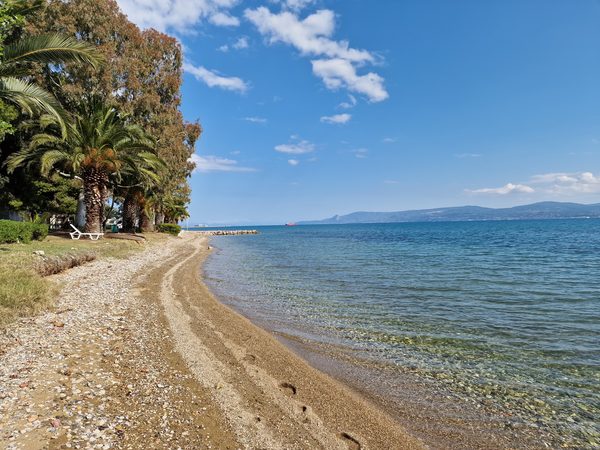 A quiet palm-fringed beach on the Evia coast, looking across the strait towards distant hills