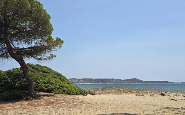 Panoramic view of Schinias Beach with pine trees, beach shelters, and mountains near Marathon, Attica